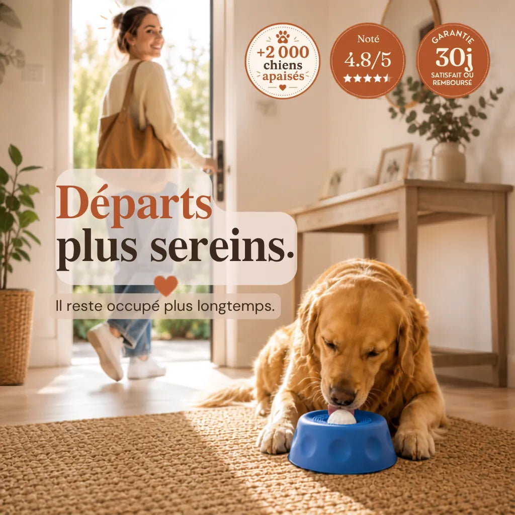 Bol Zen 2.0 ™
