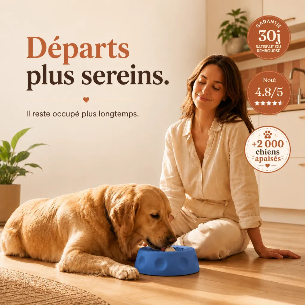 Bol Zen 2.0 ™